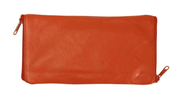 Spectacle Case