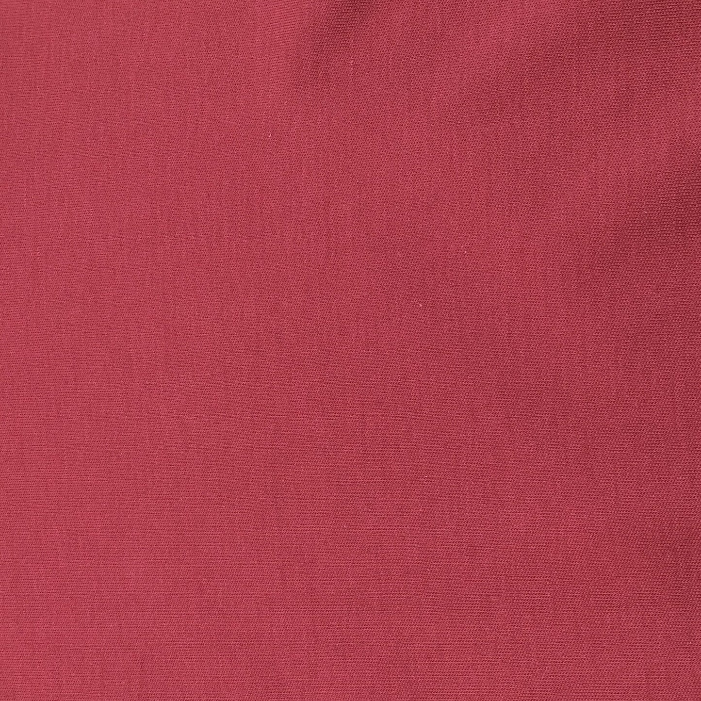Roll Neck Top