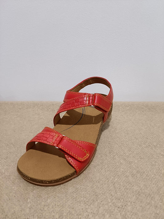 Scholl Aria Shoe