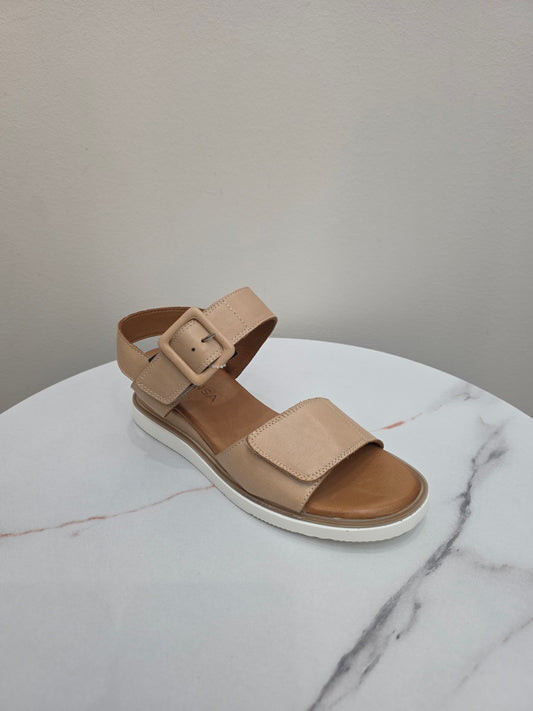 TAMPA CCRESORTS SHOE