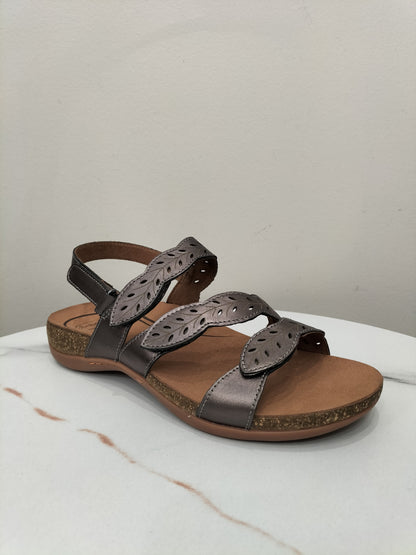 Scholl Able