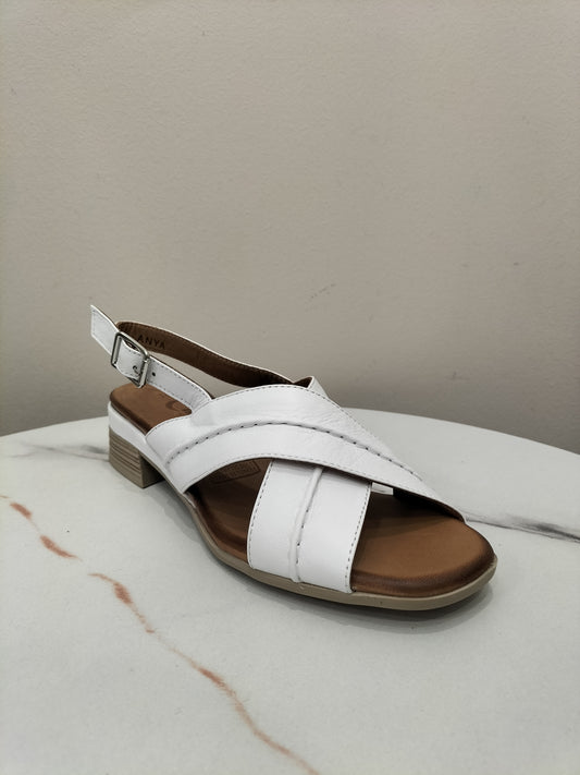 Anya Cabello Shoe