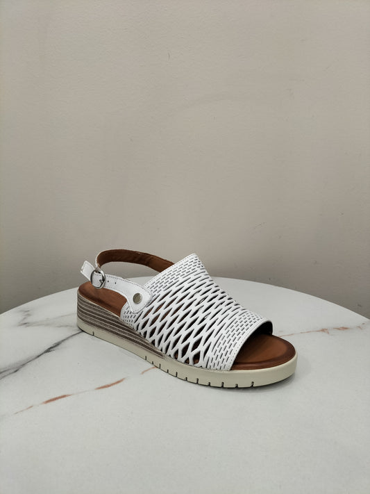 Enigma Cabello Shoe