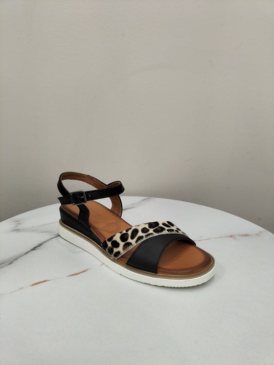 Eclipse Cabello Shoe