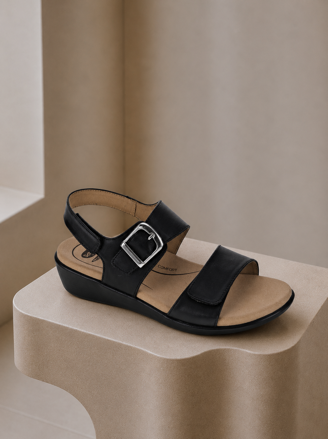 Scholl Terra