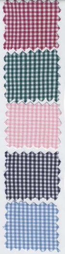 L/Sleeve Check Blouse